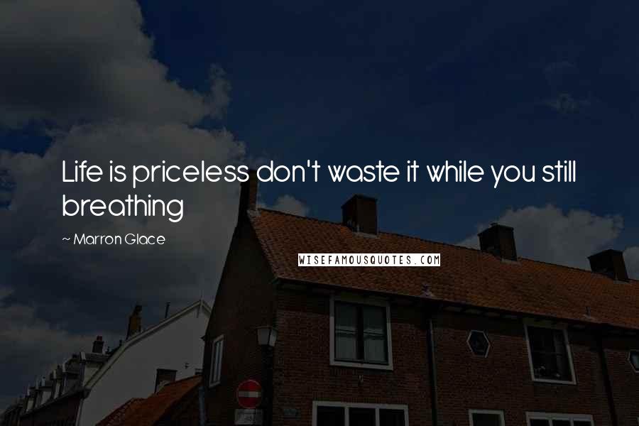 Marron Glace Quotes: Life is priceless don't waste it while you still breathing