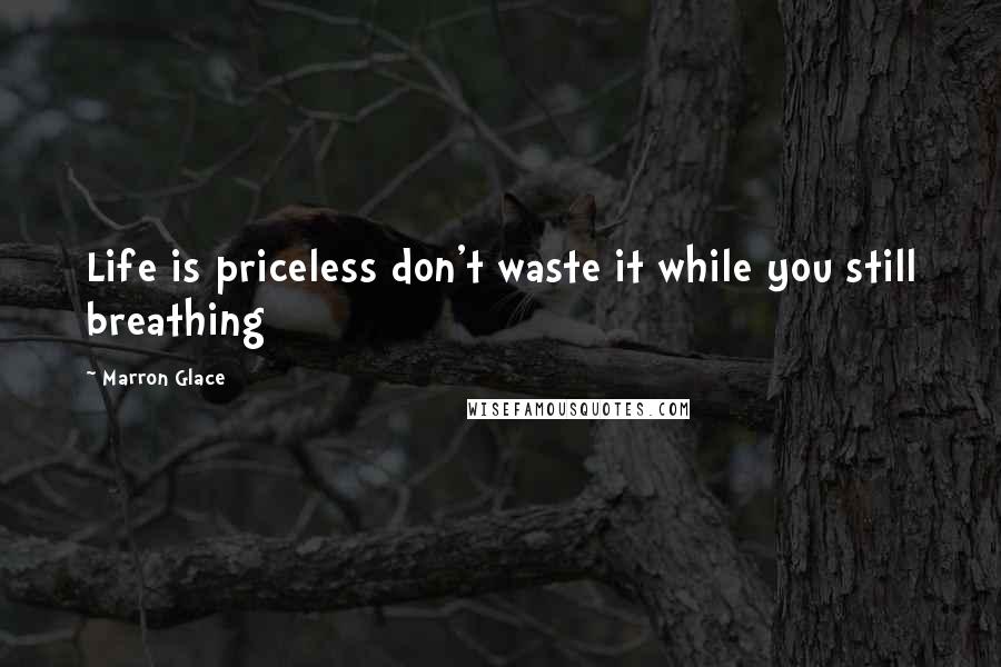 Marron Glace Quotes: Life is priceless don't waste it while you still breathing