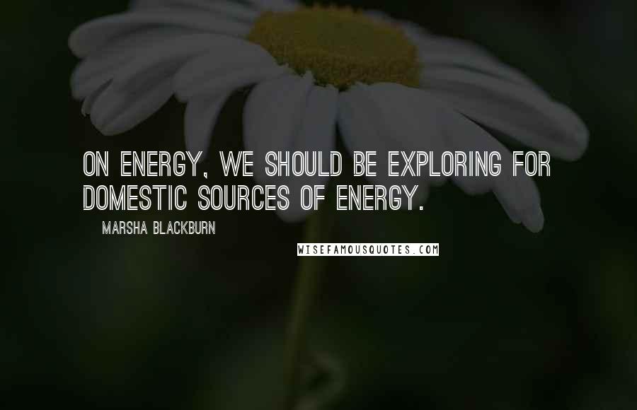Marsha Blackburn Quotes: On energy, we should be exploring for domestic sources of energy.