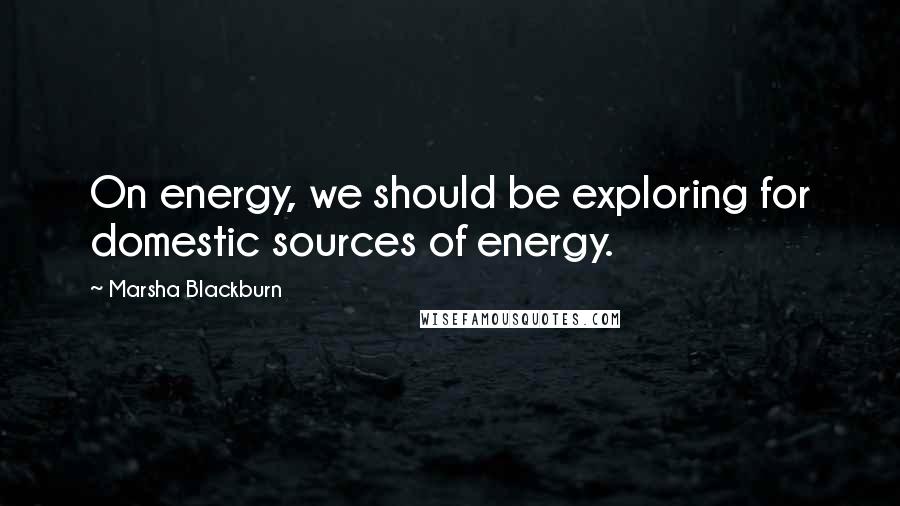 Marsha Blackburn Quotes: On energy, we should be exploring for domestic sources of energy.