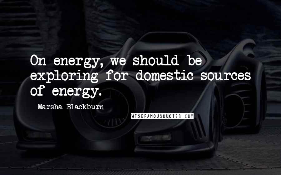 Marsha Blackburn Quotes: On energy, we should be exploring for domestic sources of energy.