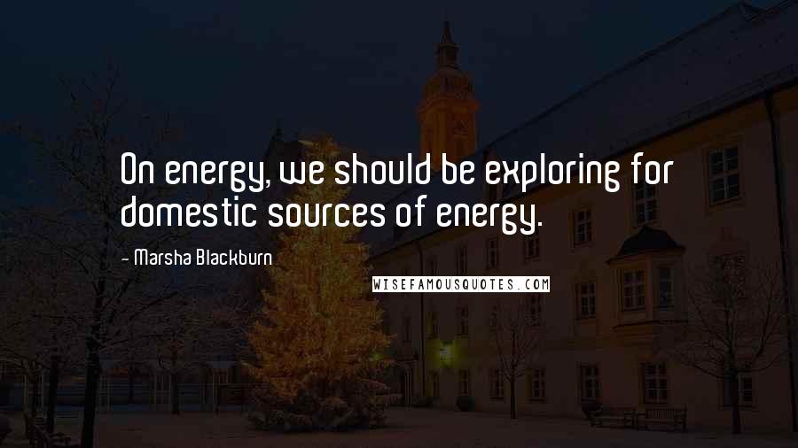 Marsha Blackburn Quotes: On energy, we should be exploring for domestic sources of energy.
