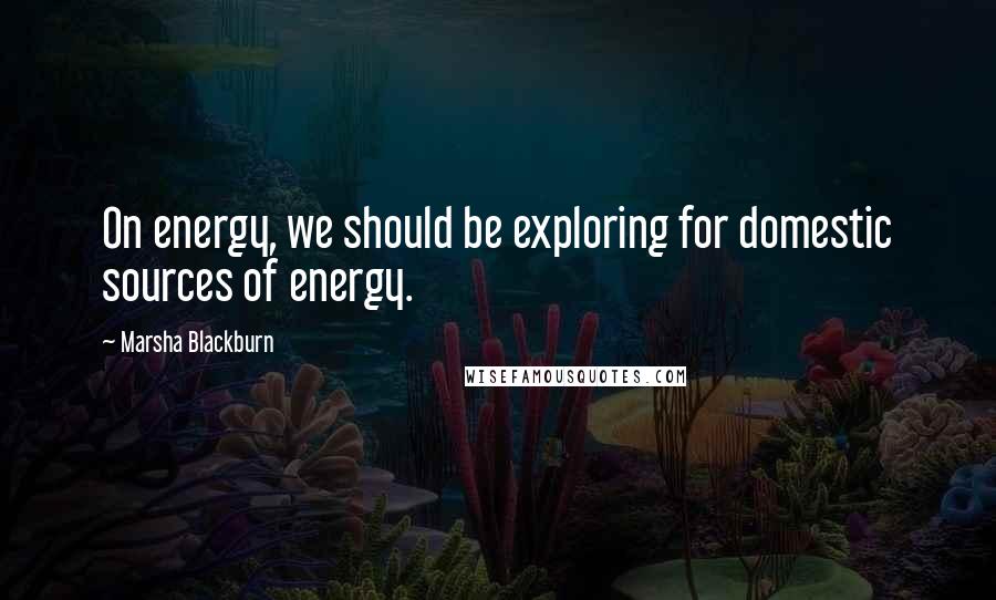 Marsha Blackburn Quotes: On energy, we should be exploring for domestic sources of energy.