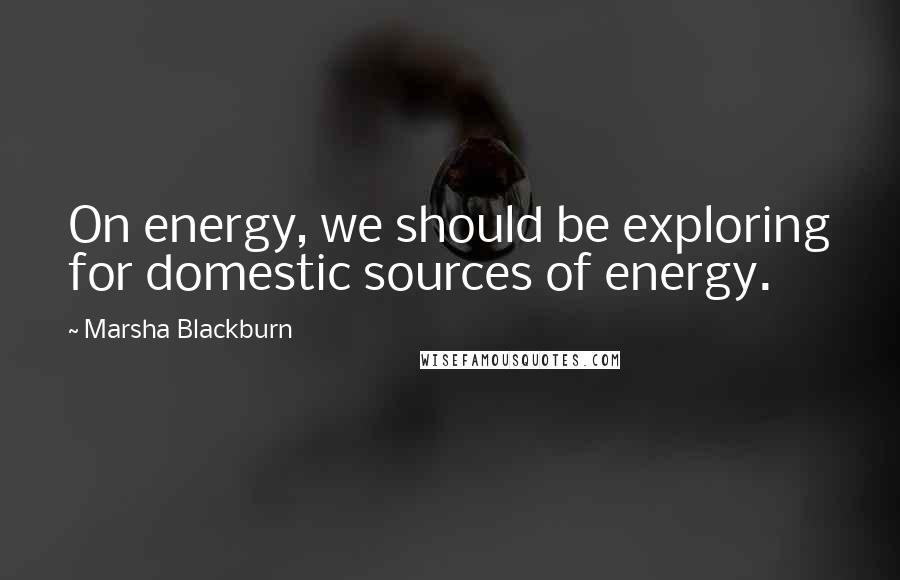 Marsha Blackburn Quotes: On energy, we should be exploring for domestic sources of energy.