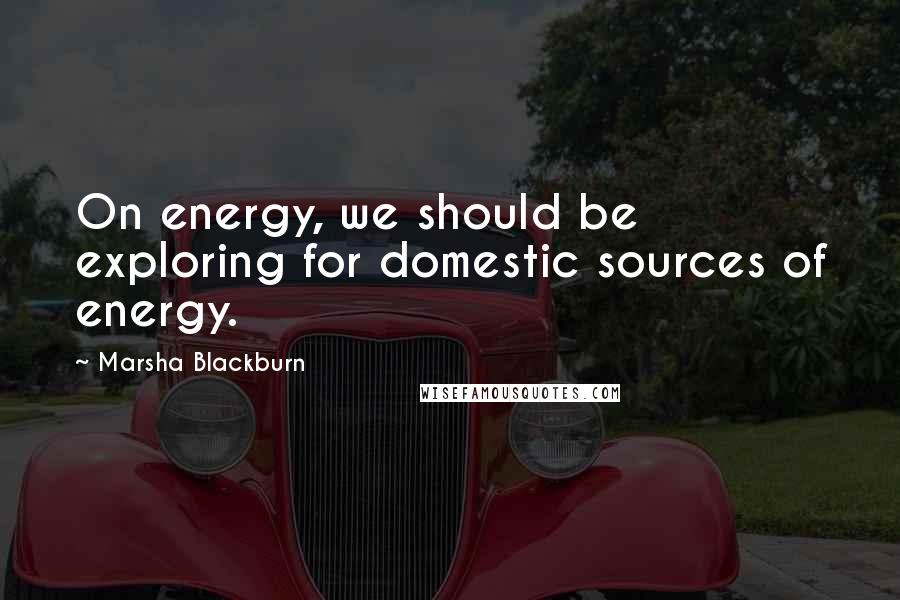 Marsha Blackburn Quotes: On energy, we should be exploring for domestic sources of energy.