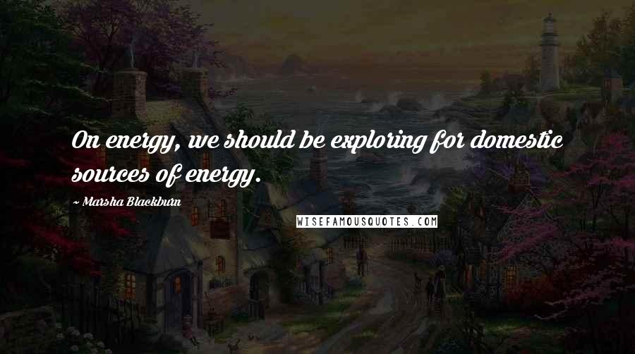 Marsha Blackburn Quotes: On energy, we should be exploring for domestic sources of energy.