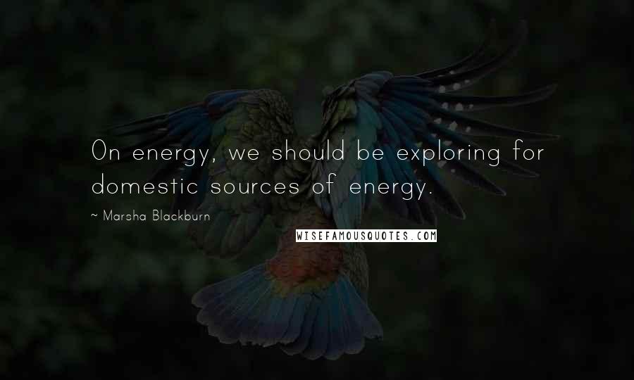 Marsha Blackburn Quotes: On energy, we should be exploring for domestic sources of energy.