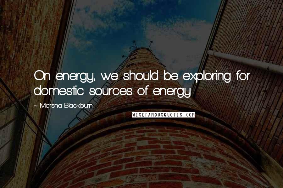Marsha Blackburn Quotes: On energy, we should be exploring for domestic sources of energy.