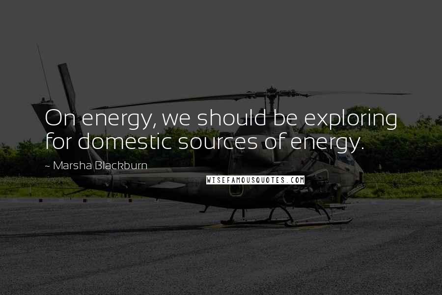 Marsha Blackburn Quotes: On energy, we should be exploring for domestic sources of energy.