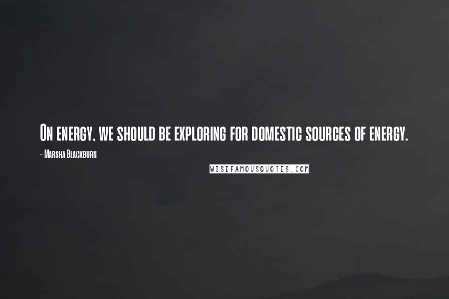 Marsha Blackburn Quotes: On energy, we should be exploring for domestic sources of energy.