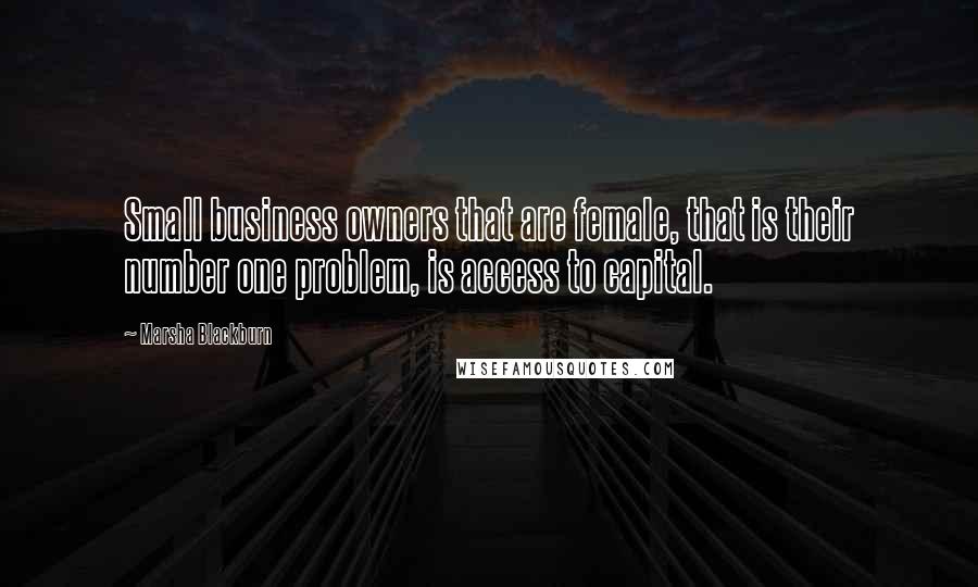 Marsha Blackburn Quotes: Small business owners that are female, that is their number one problem, is access to capital.