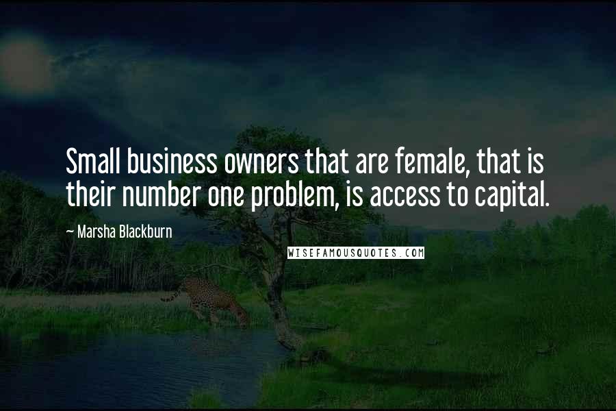 Marsha Blackburn Quotes: Small business owners that are female, that is their number one problem, is access to capital.