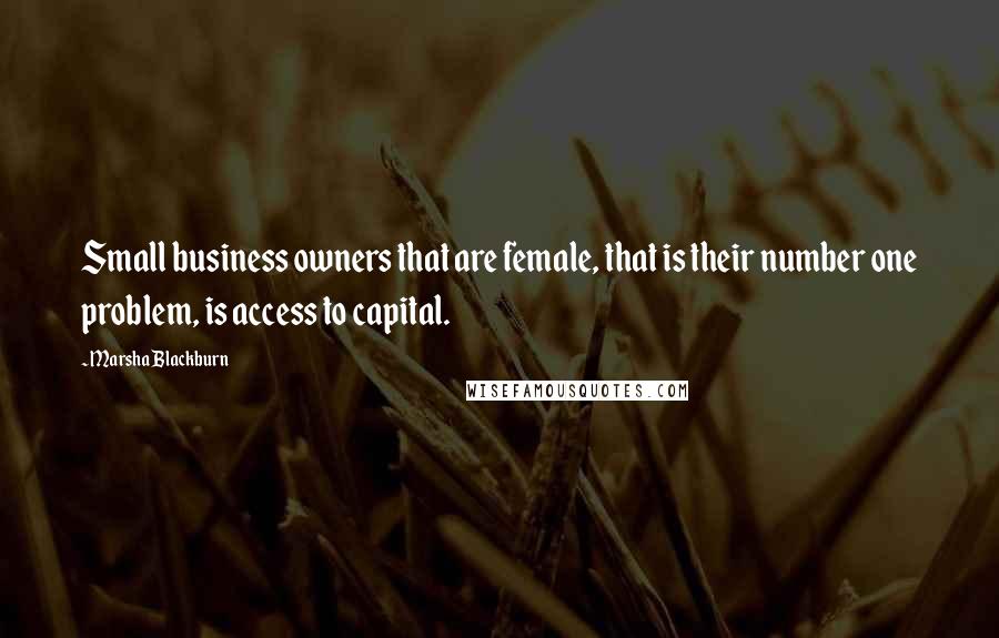 Marsha Blackburn Quotes: Small business owners that are female, that is their number one problem, is access to capital.