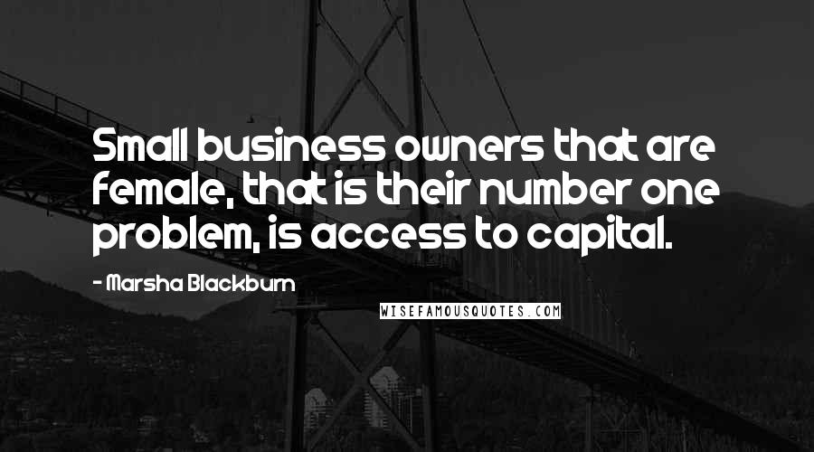 Marsha Blackburn Quotes: Small business owners that are female, that is their number one problem, is access to capital.