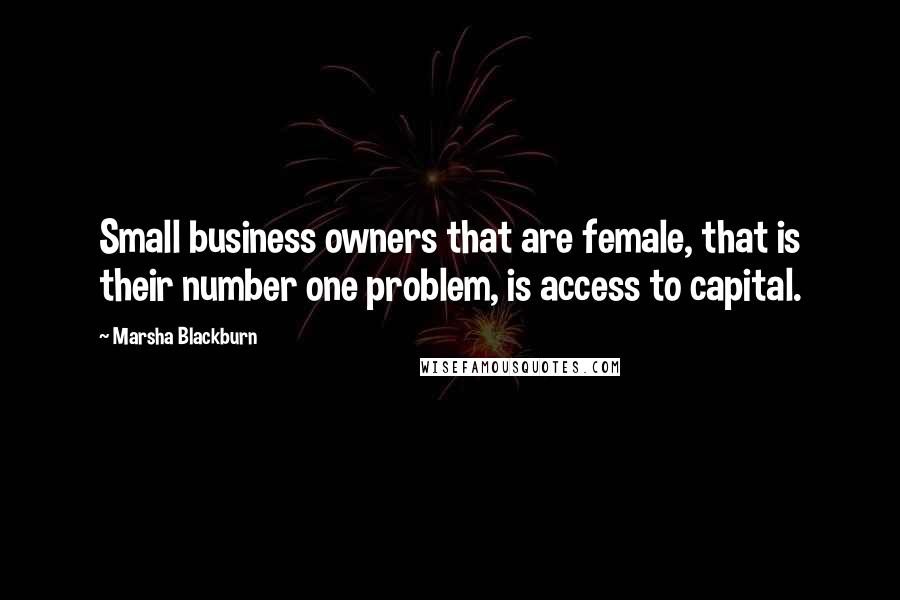 Marsha Blackburn Quotes: Small business owners that are female, that is their number one problem, is access to capital.