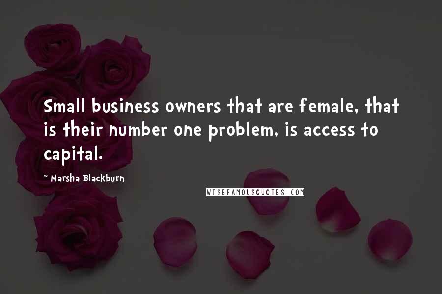 Marsha Blackburn Quotes: Small business owners that are female, that is their number one problem, is access to capital.