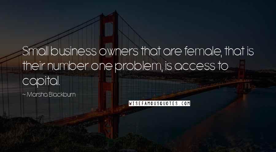 Marsha Blackburn Quotes: Small business owners that are female, that is their number one problem, is access to capital.