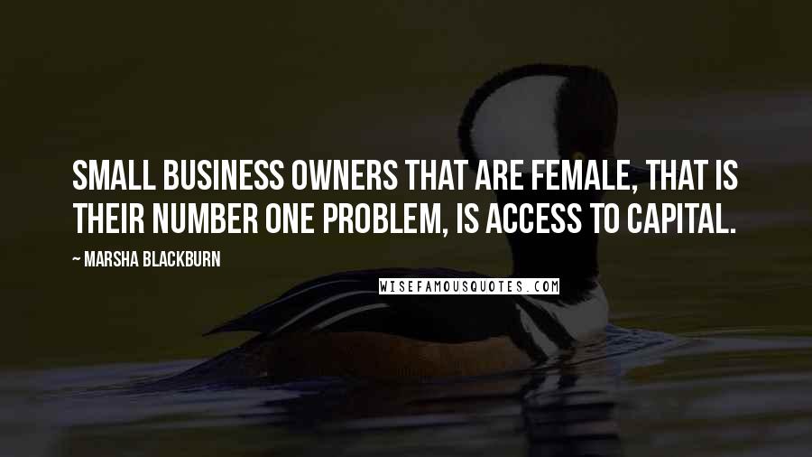 Marsha Blackburn Quotes: Small business owners that are female, that is their number one problem, is access to capital.