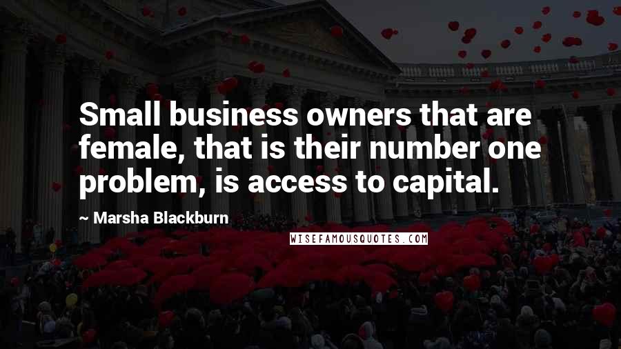 Marsha Blackburn Quotes: Small business owners that are female, that is their number one problem, is access to capital.