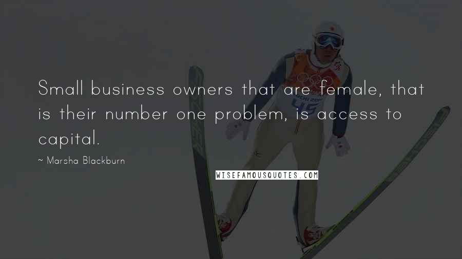 Marsha Blackburn Quotes: Small business owners that are female, that is their number one problem, is access to capital.