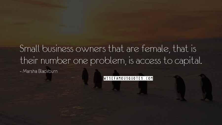 Marsha Blackburn Quotes: Small business owners that are female, that is their number one problem, is access to capital.