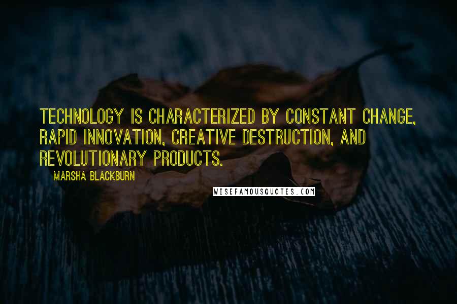Marsha Blackburn Quotes: Technology is characterized by constant change, rapid innovation, creative destruction, and revolutionary products.