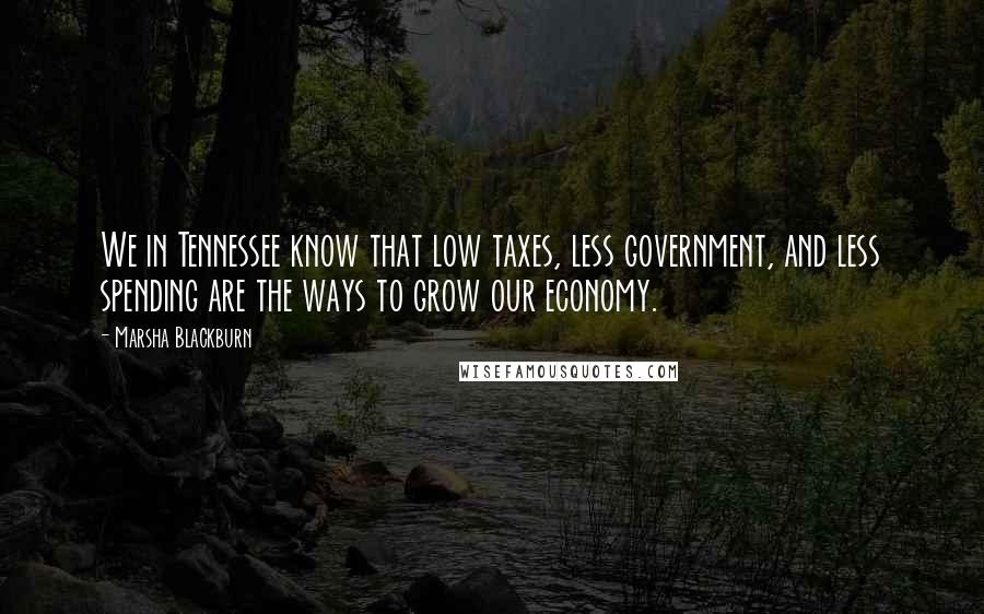 Marsha Blackburn Quotes: We in Tennessee know that low taxes, less government, and less spending are the ways to grow our economy.