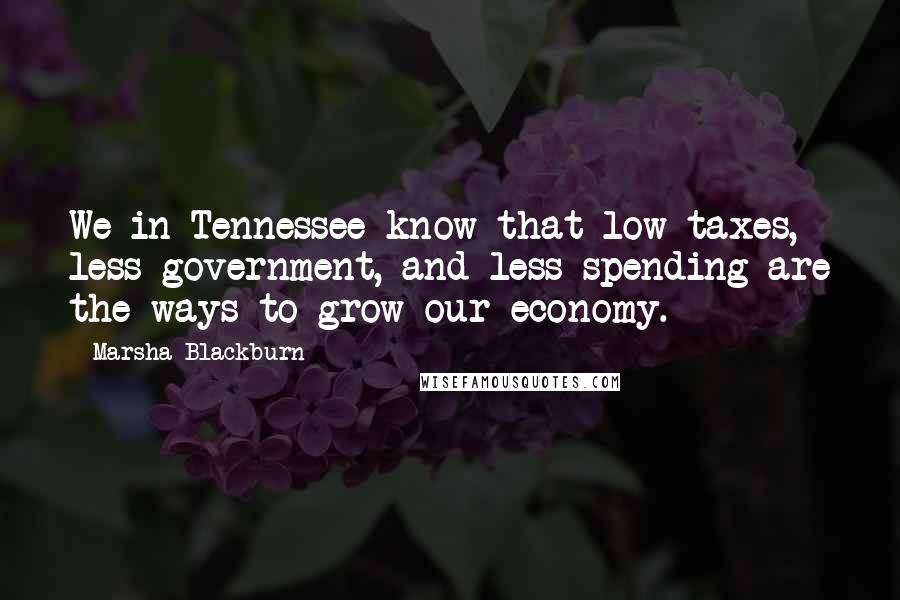 Marsha Blackburn Quotes: We in Tennessee know that low taxes, less government, and less spending are the ways to grow our economy.