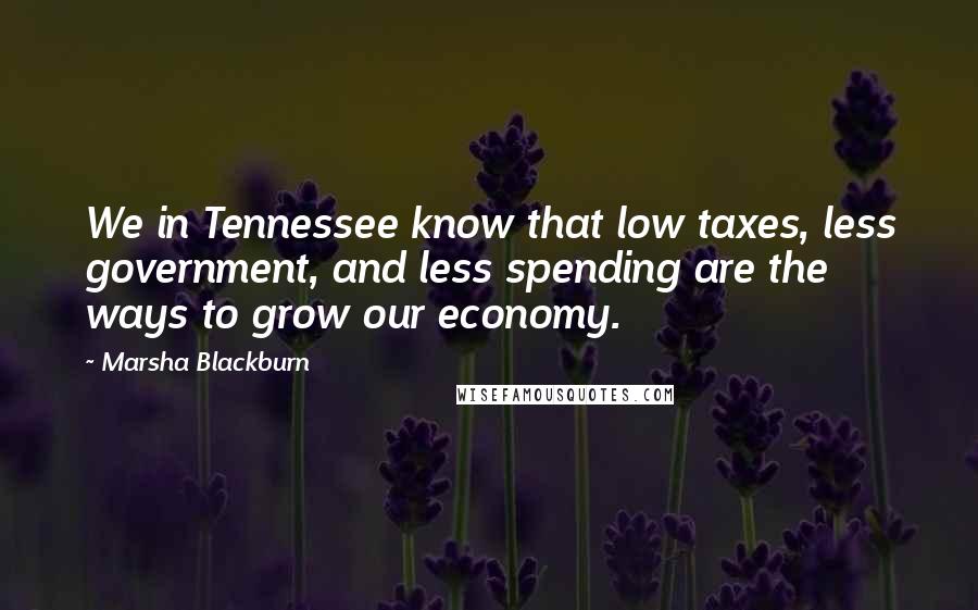 Marsha Blackburn Quotes: We in Tennessee know that low taxes, less government, and less spending are the ways to grow our economy.