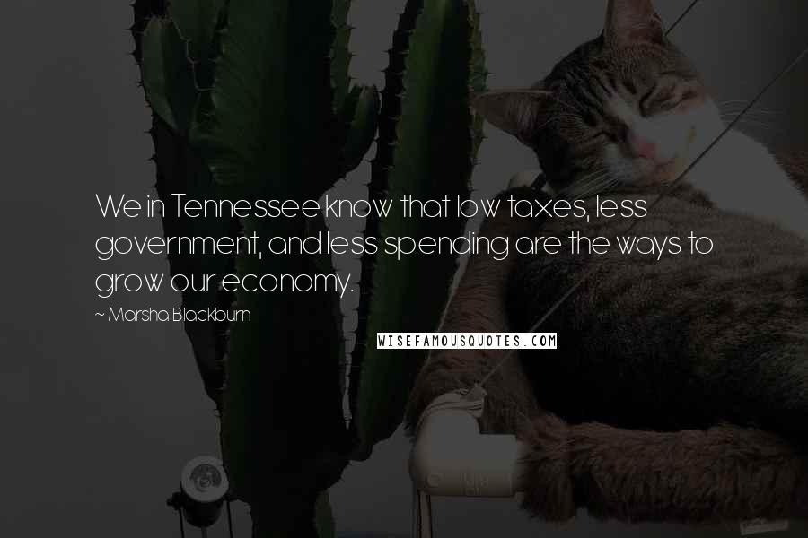Marsha Blackburn Quotes: We in Tennessee know that low taxes, less government, and less spending are the ways to grow our economy.