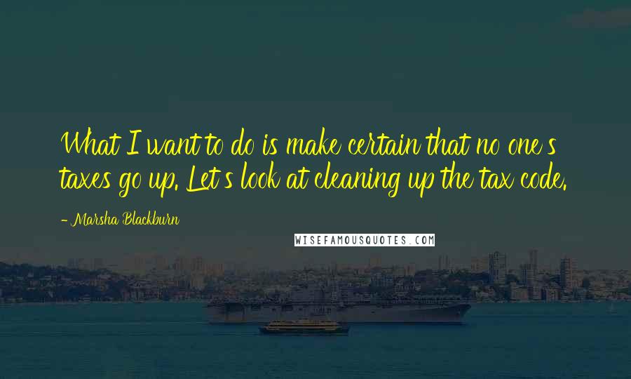 Marsha Blackburn Quotes: What I want to do is make certain that no one's taxes go up. Let's look at cleaning up the tax code.