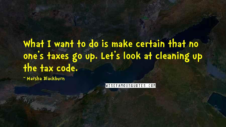 Marsha Blackburn Quotes: What I want to do is make certain that no one's taxes go up. Let's look at cleaning up the tax code.