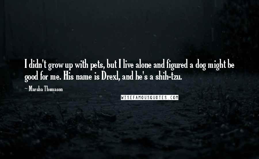 Marsha Thomason Quotes: I didn't grow up with pets, but I live alone and figured a dog might be good for me. His name is Drexl, and he's a shih-tzu.