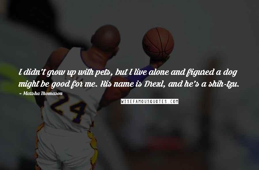 Marsha Thomason Quotes: I didn't grow up with pets, but I live alone and figured a dog might be good for me. His name is Drexl, and he's a shih-tzu.