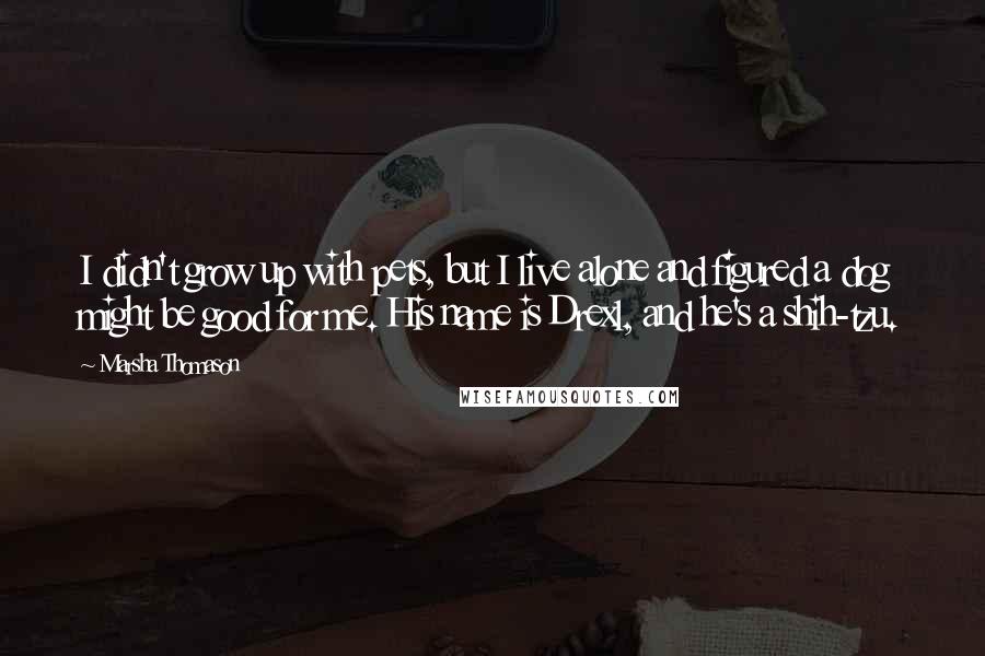 Marsha Thomason Quotes: I didn't grow up with pets, but I live alone and figured a dog might be good for me. His name is Drexl, and he's a shih-tzu.