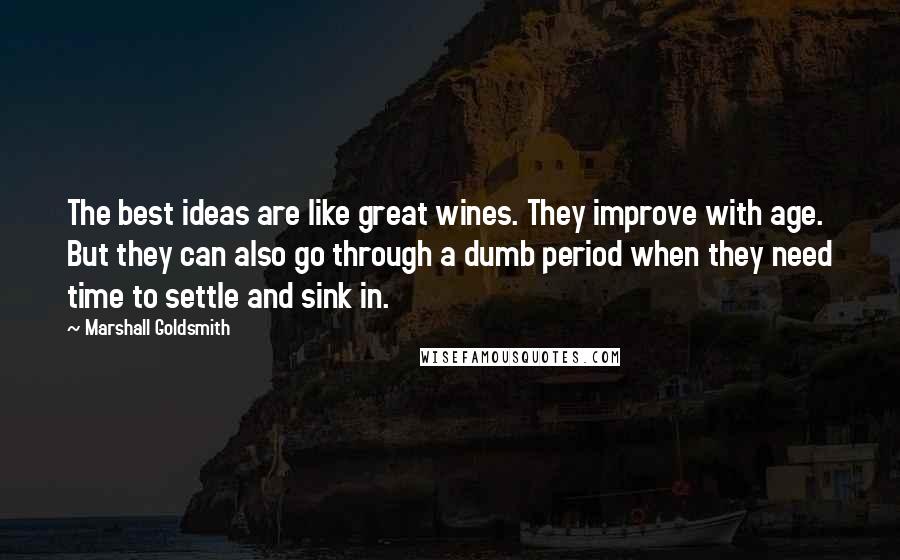 Marshall Goldsmith Quotes: The best ideas are like great wines. They improve with age. But they can also go through a dumb period when they need time to settle and sink in.