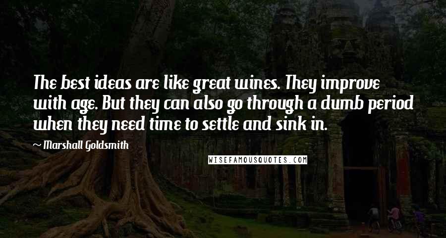 Marshall Goldsmith Quotes: The best ideas are like great wines. They improve with age. But they can also go through a dumb period when they need time to settle and sink in.
