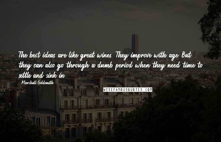 Marshall Goldsmith Quotes: The best ideas are like great wines. They improve with age. But they can also go through a dumb period when they need time to settle and sink in.