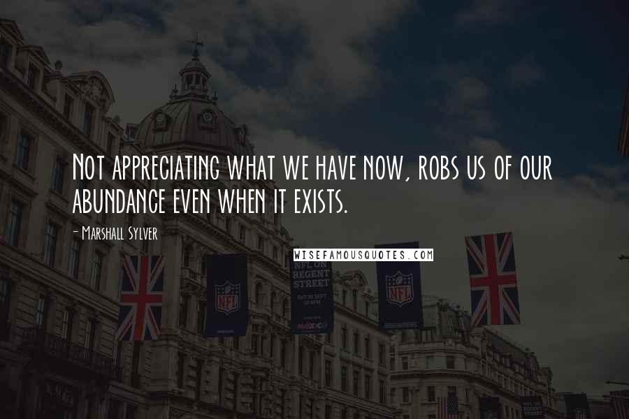 Marshall Sylver Quotes: Not appreciating what we have now, robs us of our abundance even when it exists.