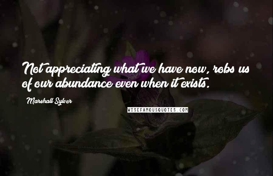 Marshall Sylver Quotes: Not appreciating what we have now, robs us of our abundance even when it exists.