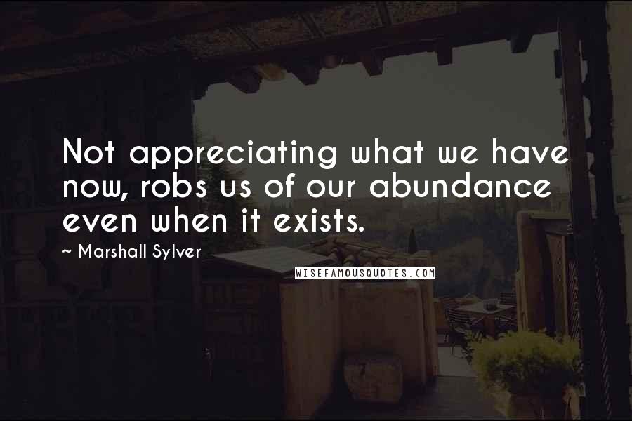 Marshall Sylver Quotes: Not appreciating what we have now, robs us of our abundance even when it exists.