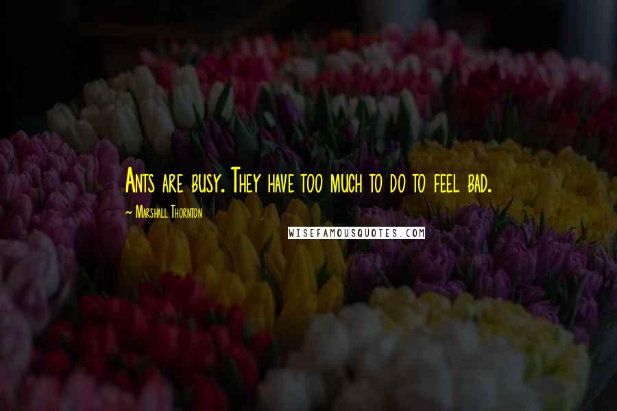 Marshall Thornton Quotes: Ants are busy. They have too much to do to feel bad.