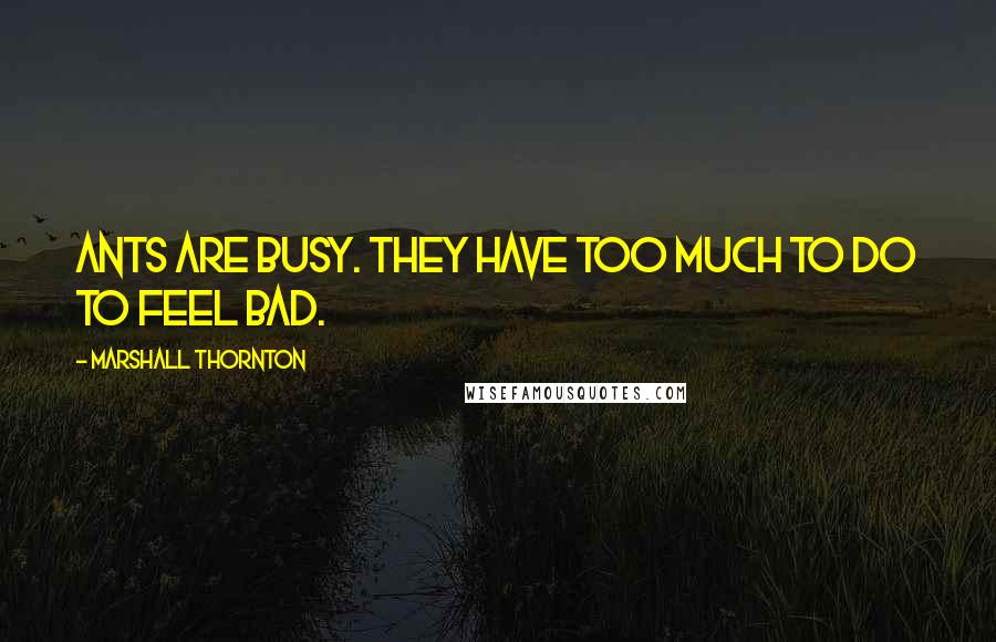 Marshall Thornton Quotes: Ants are busy. They have too much to do to feel bad.