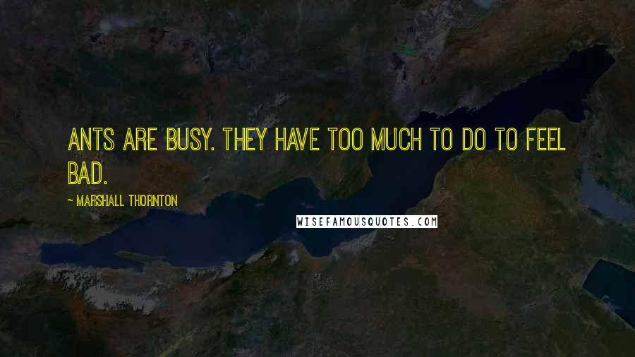 Marshall Thornton Quotes: Ants are busy. They have too much to do to feel bad.