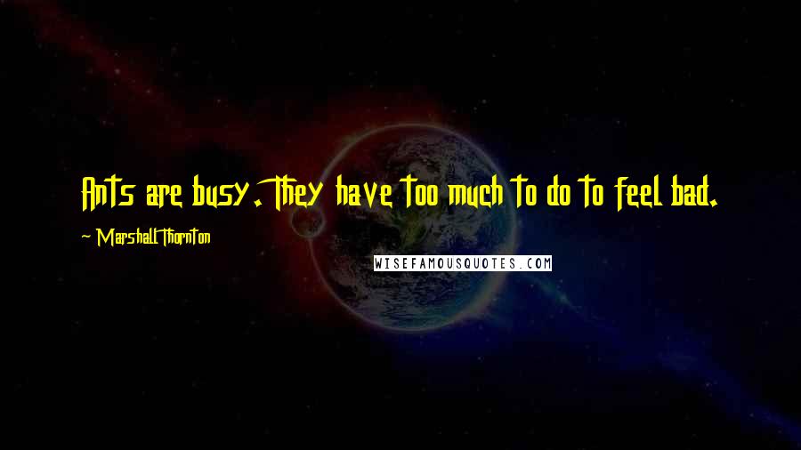 Marshall Thornton Quotes: Ants are busy. They have too much to do to feel bad.