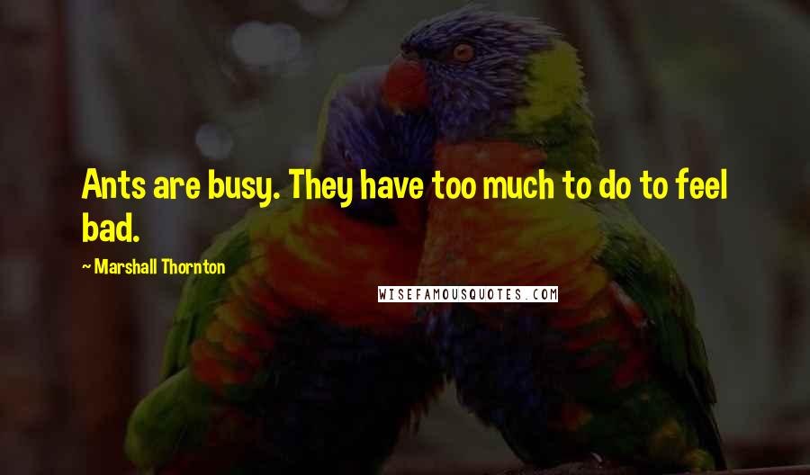 Marshall Thornton Quotes: Ants are busy. They have too much to do to feel bad.