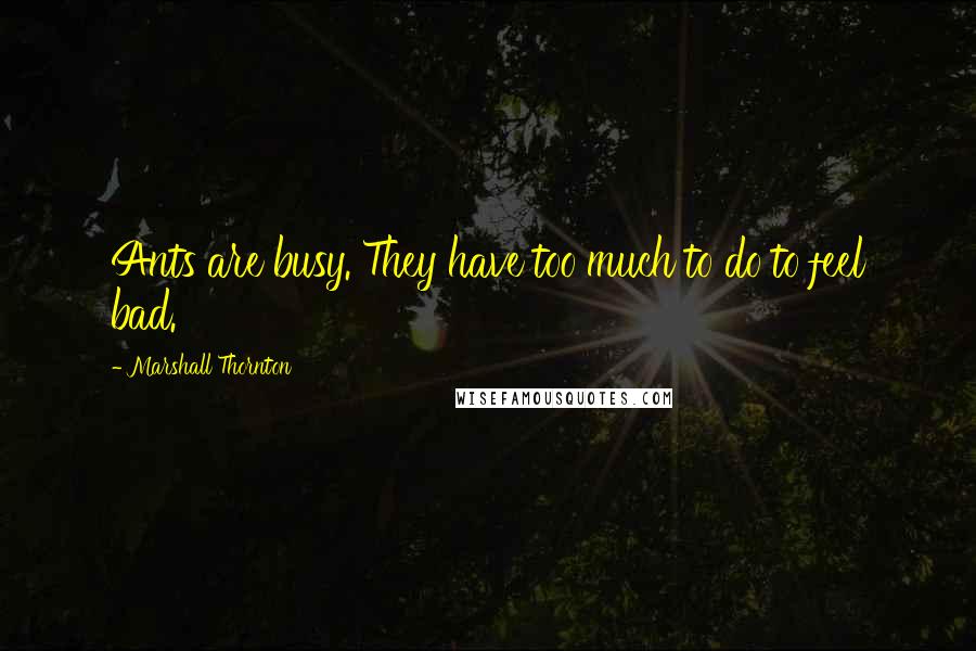 Marshall Thornton Quotes: Ants are busy. They have too much to do to feel bad.