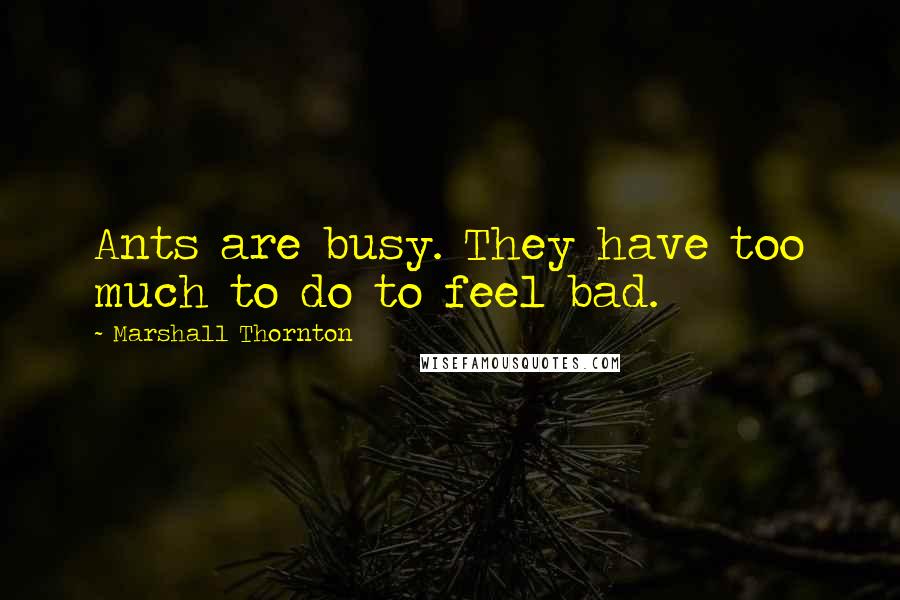 Marshall Thornton Quotes: Ants are busy. They have too much to do to feel bad.