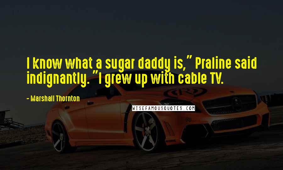 Marshall Thornton Quotes: I know what a sugar daddy is," Praline said indignantly. "I grew up with cable TV.