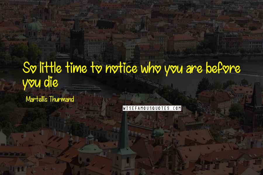 Martellis Thurmand Quotes: So little time to notice who you are before you die